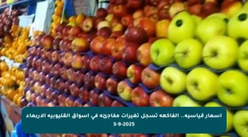 أسعار قياسية.. الفاكهة تسجل تغيرات مفاجئة في أسواق القليوبية الأربعاء 3-9-2025